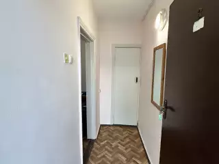 База отдыха «Динамо», г. Анапа