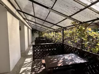 База отдыха «Динамо», г. Анапа