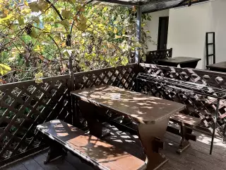 База отдыха «Динамо», г. Анапа