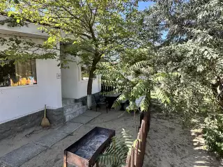 База отдыха «Динамо», г. Анапа