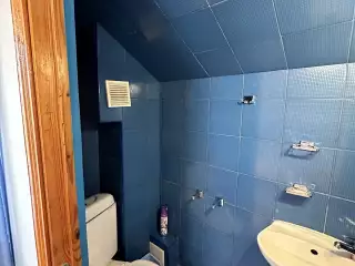 База отдыха «Динамо», г. Анапа