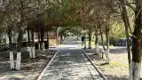База отдыха «Динамо», г. Анапа
