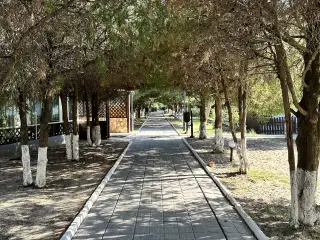 База отдыха «Динамо», г. Анапа