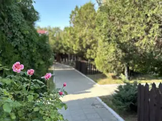 База отдыха «Динамо», г. Анапа
