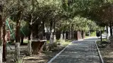 База отдыха «Динамо», г. Анапа