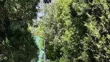 База отдыха «Динамо», г. Анапа